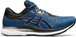 Asics Men's Evoride