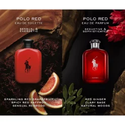 Ralph Lauren Polo Red Eau De Toilette Travel Spray 11 Ralph Lauren Polo Red Eau De Toilette Travel Spray -Gearwest shop 5563751 ALT5