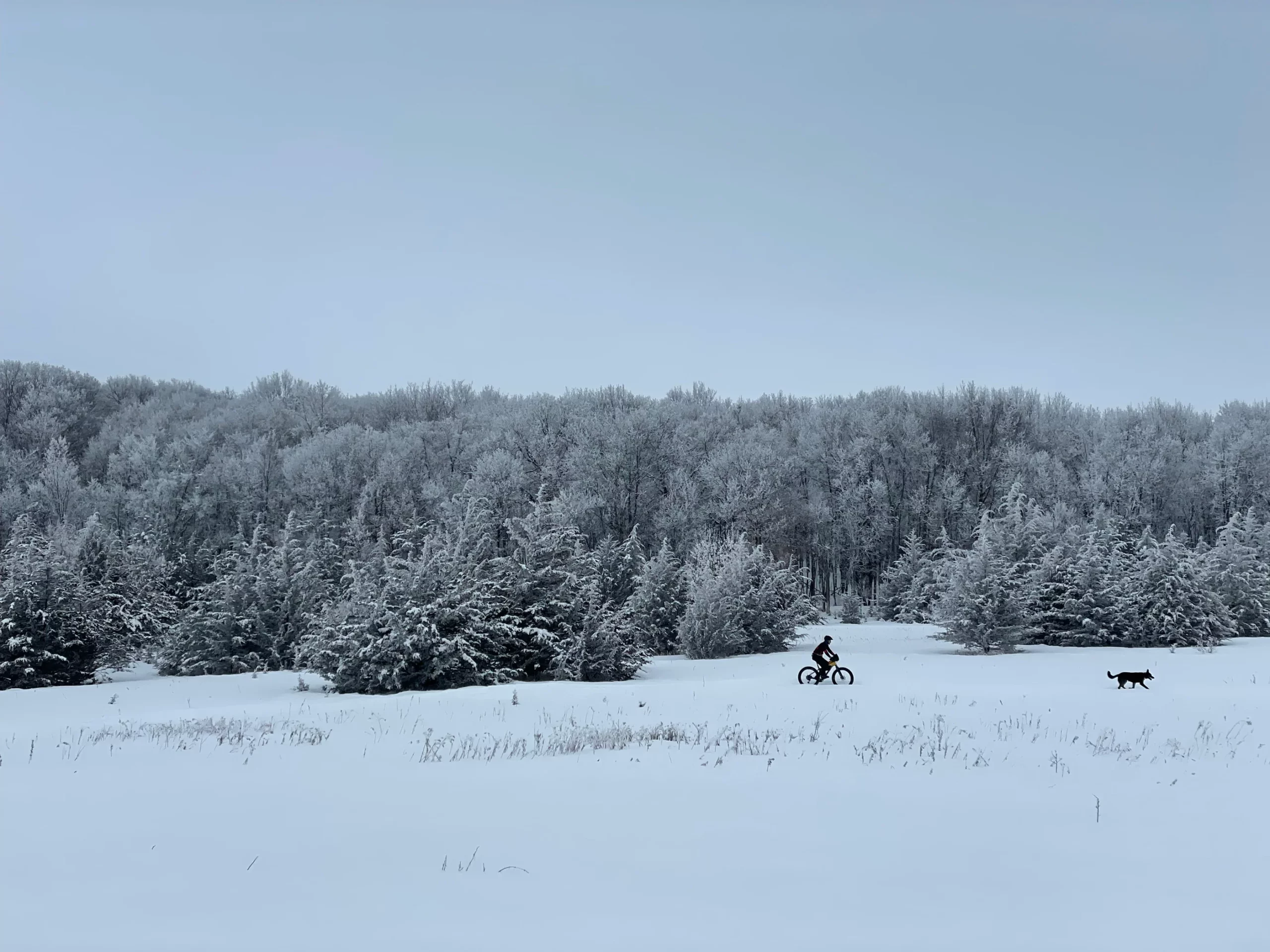 Gearwest shop -Gearwest shop FatBiking 2800x scaled